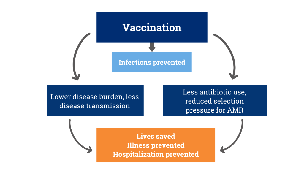AMR Vaccine Prevention