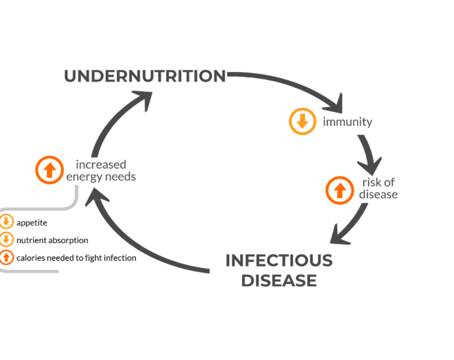 The vicious cycle of undernutrition and infectious disease: How does it work and what role do vaccines play?