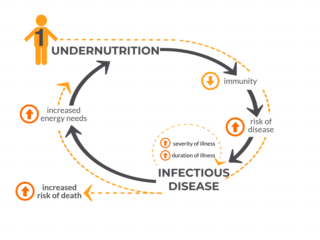 Undernourished child cycle