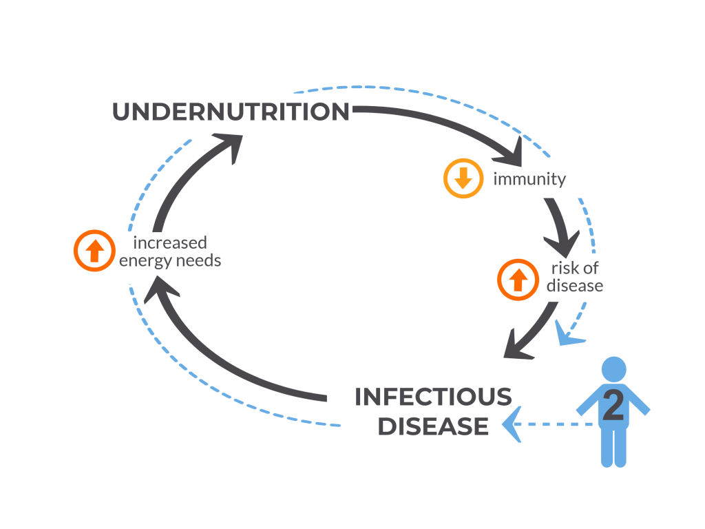 Undernourished cycle to Infectious Disease