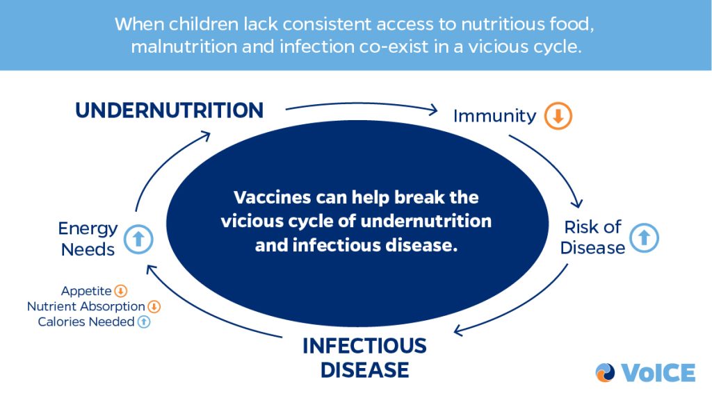 Cycle of undernutrition and infectious disease