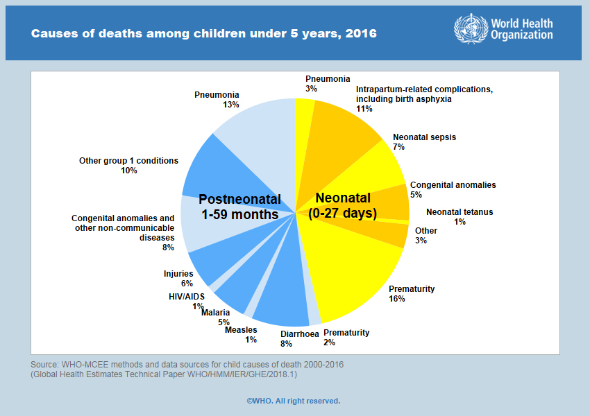 Pie graph of causes of deaths among children under 5 years, 2016